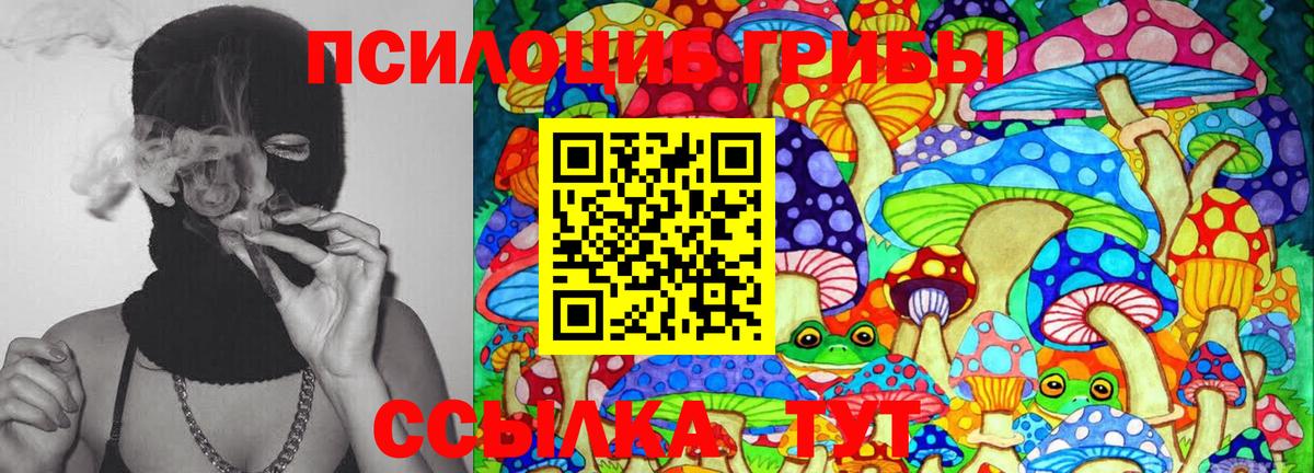 Галлюциногенные грибы Psilocybe Сердобск