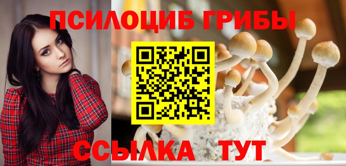 купить наркотики сайты  Псилоцибиновые грибы Magic Shrooms  Вход с VPN  Сердобск  Галлюциногенные грибы Cubensis 